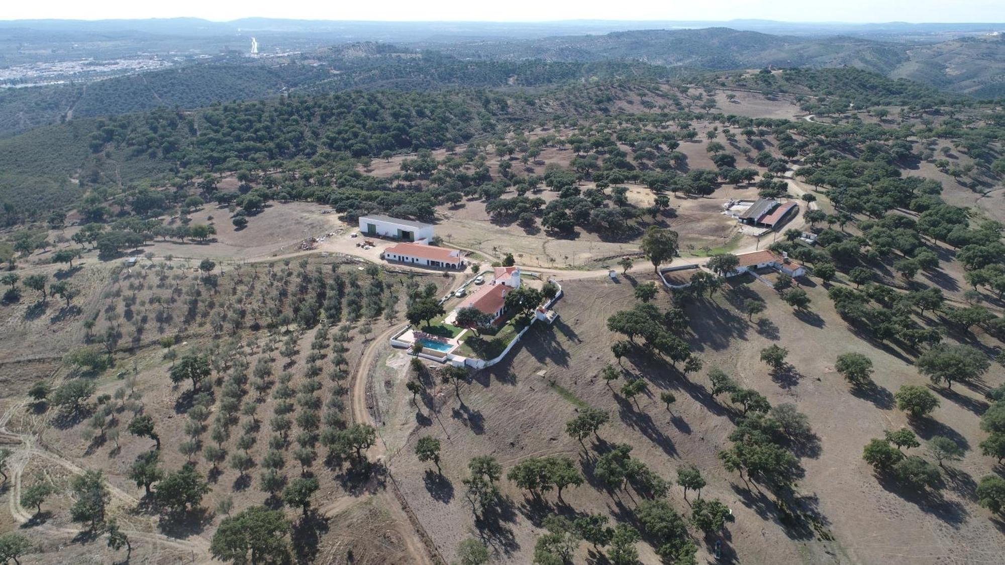 Herdade Vale De Cabras Portel Eksteriør bilde