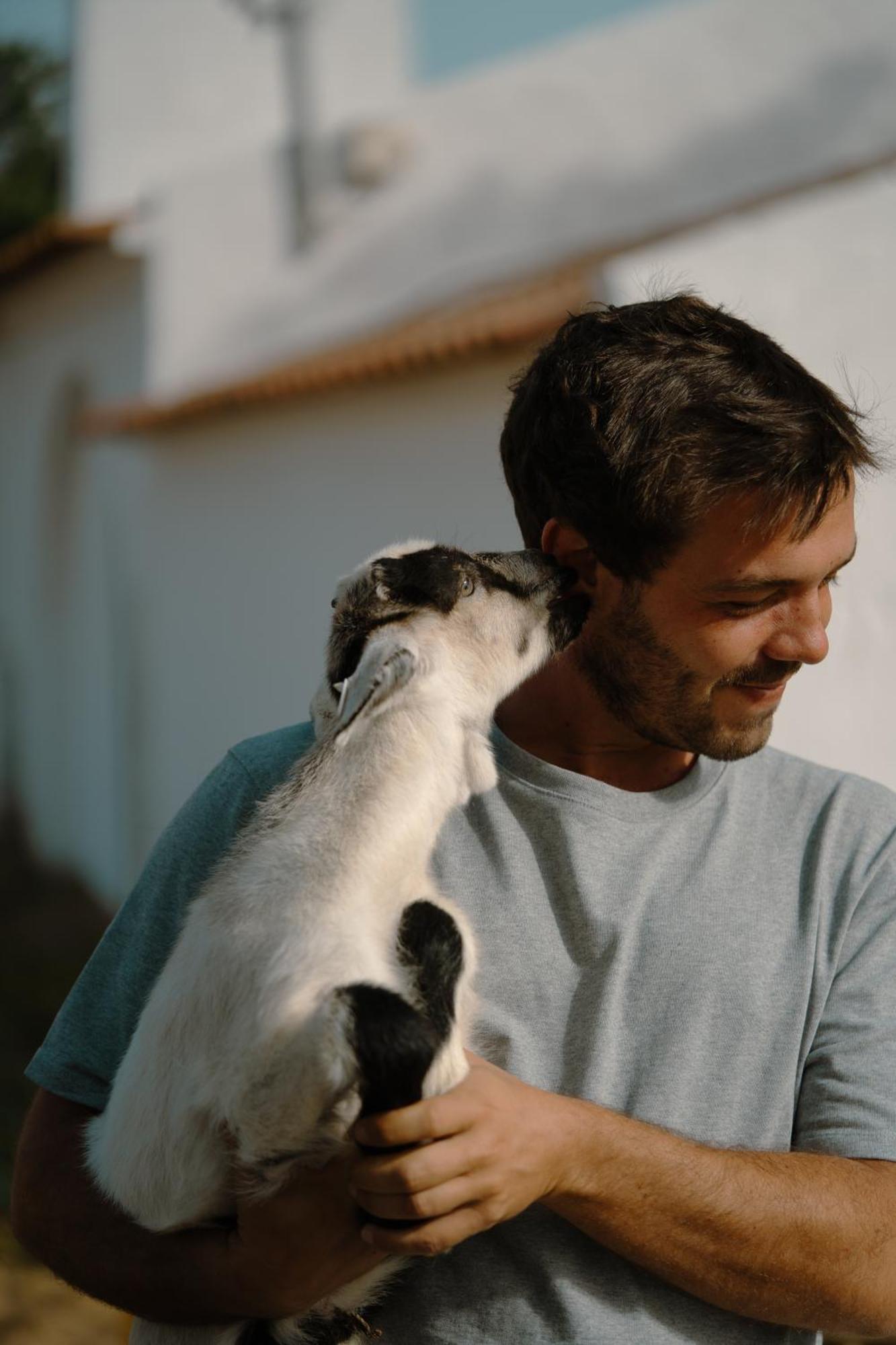 Herdade Vale De Cabras Portel Eksteriør bilde